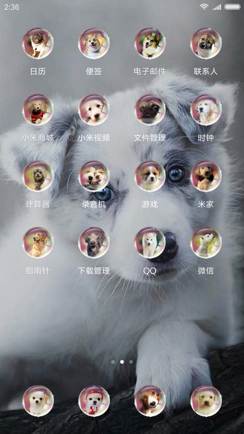 唯美的狗狗 screenshot