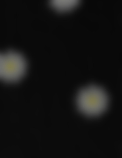 多彩 油画小雏菊 screenshot