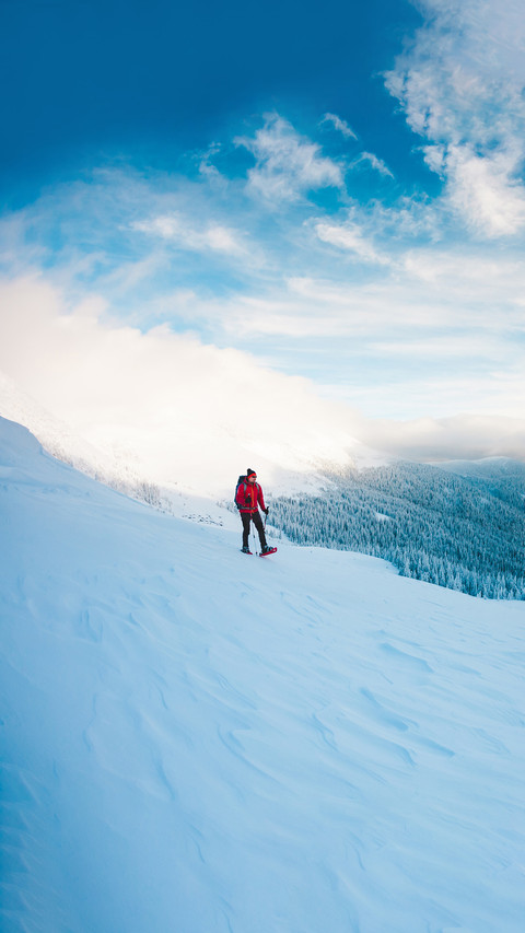 A man in snowshoes and trekking sticks in the mountains screenshot