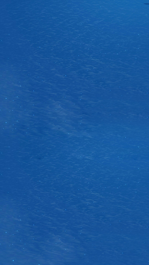 浮动的图标 screenshot