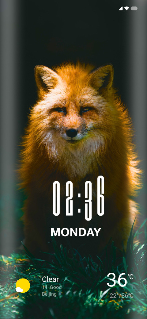 Wild Max screenshot