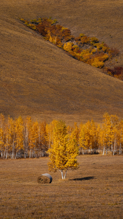 Encounter the golden autumn of the grassland 2 screenshot