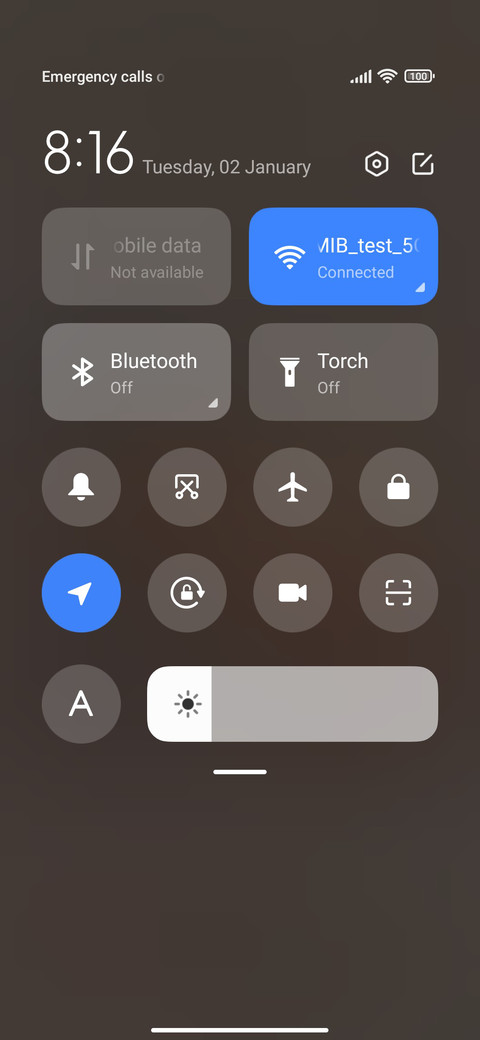 Plum Near Window screenshot