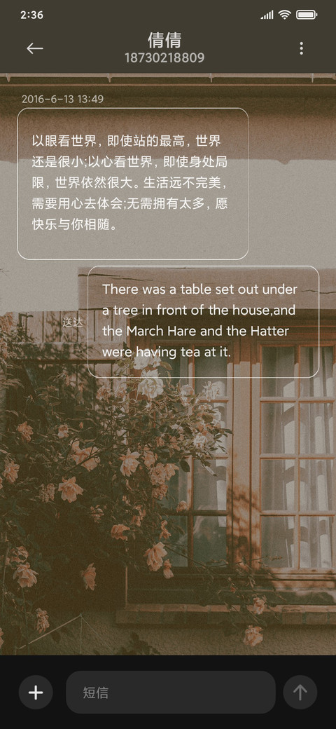 素色 screenshot