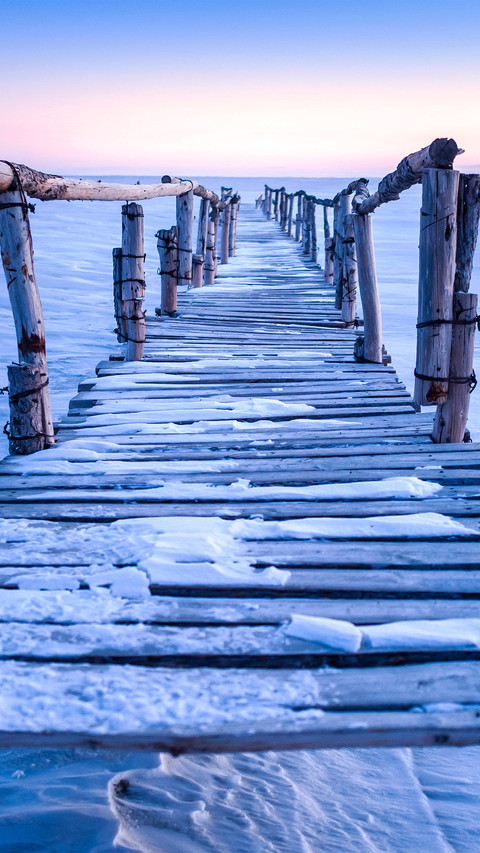 The frozen plank bridge screenshot