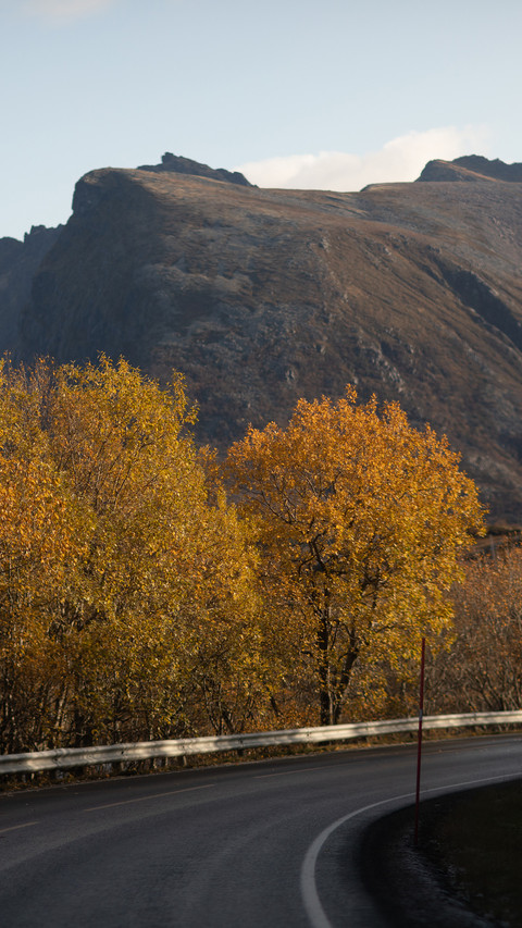 The scenery along the arctic circle highway screenshot