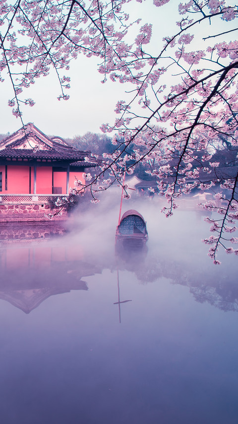 无锡樱花谷 screenshot