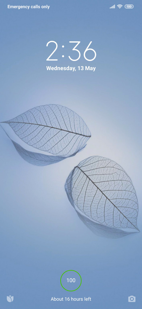 Leaf White_V10 screenshot