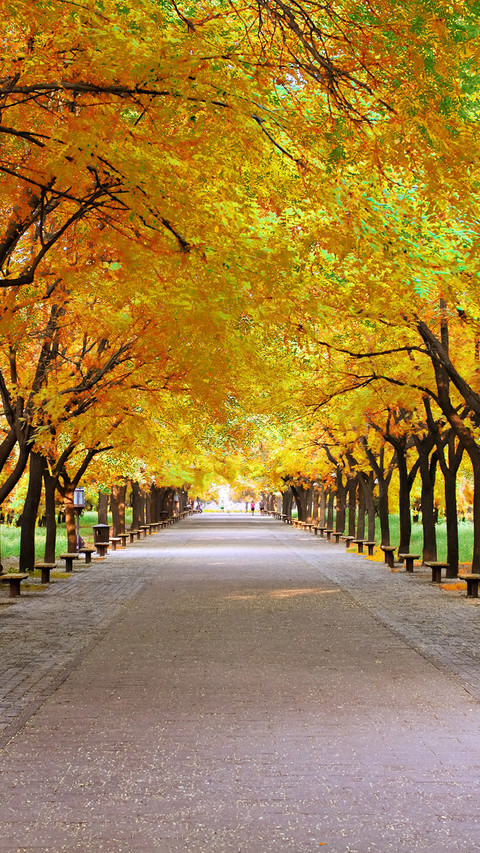 Autumn style screenshot