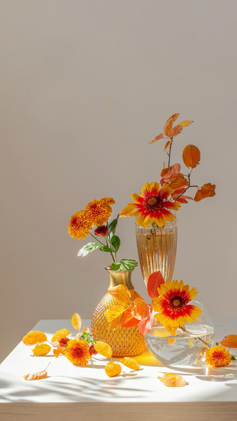 Fresh flowers, a daily dose of happiness screenshot
