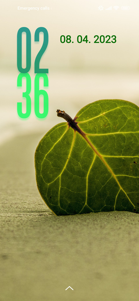 beach leaf screenshot