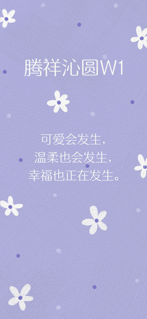 腾祥沁圆W1 screenshot
