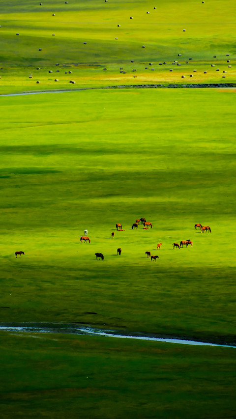 A thousand miles of green fields in the scroll 2 screenshot