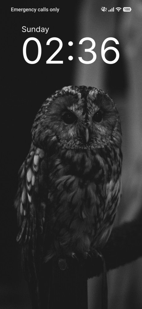 Midnight Watch screenshot