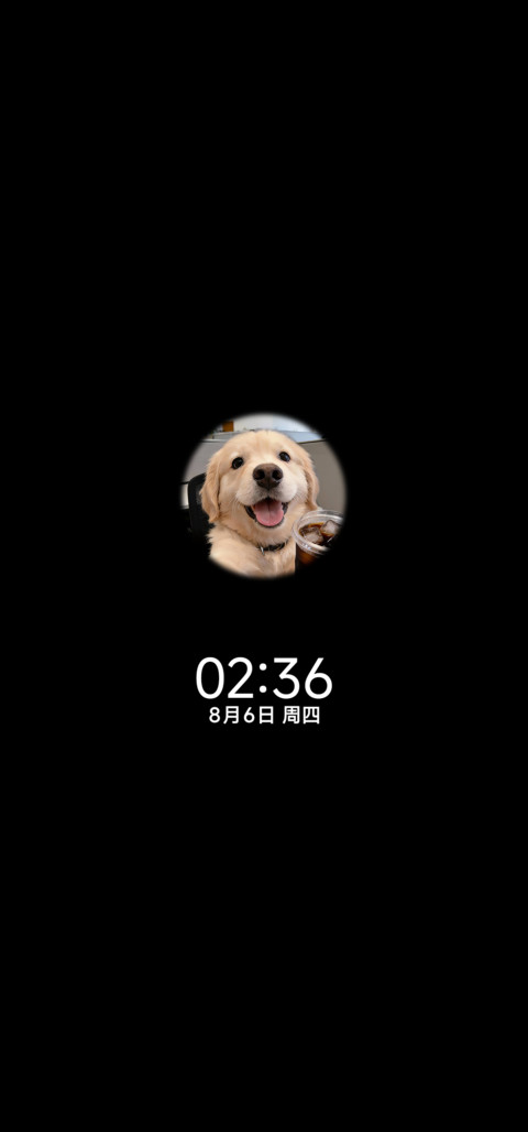 3D壁纸 打工小狗 screenshot