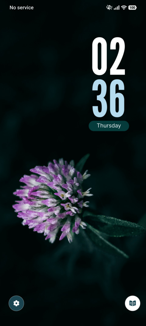 Shadow Clover screenshot