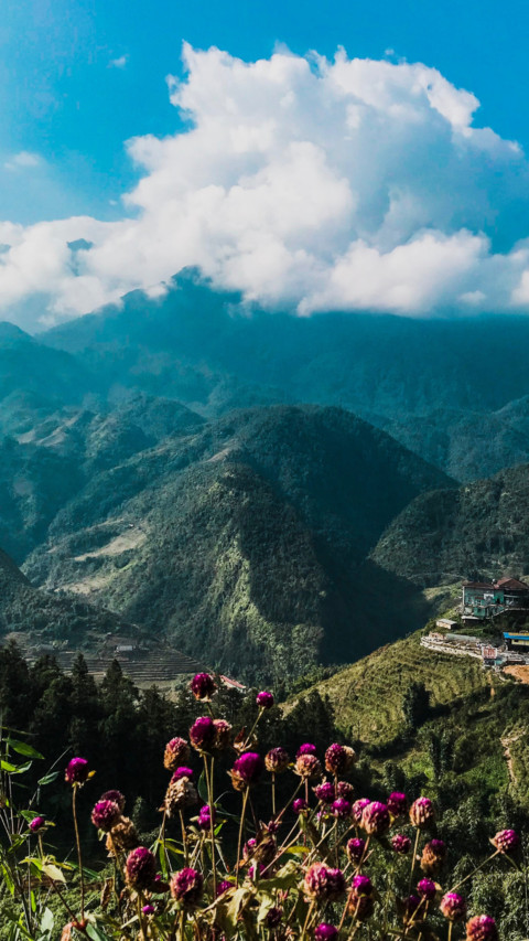 Vietnam  screenshot