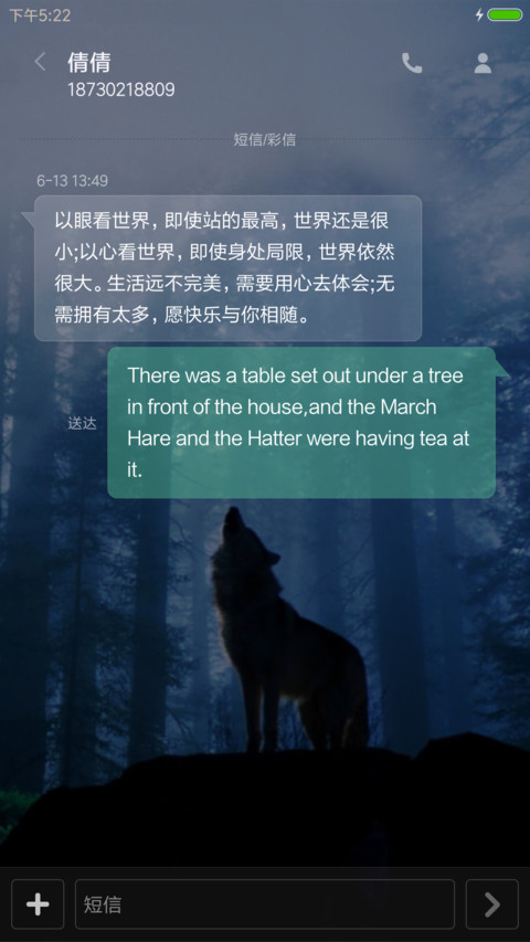 孤狼（动态桌面+动态屏锁） screenshot