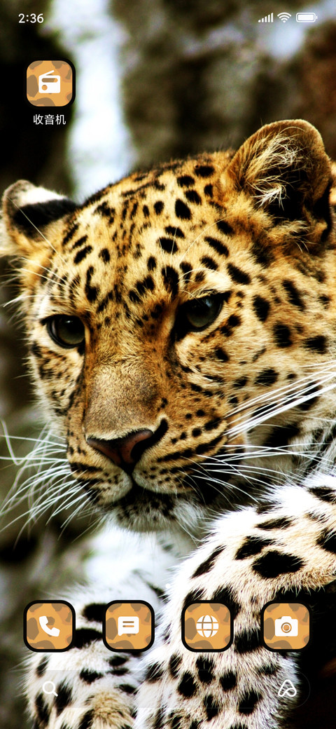 Leopard - Pattern_3MDS screenshot