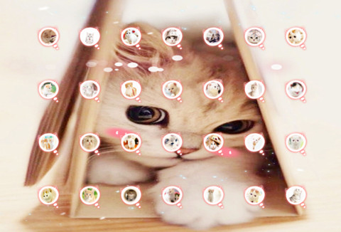 Q萌小喵酱 screenshot
