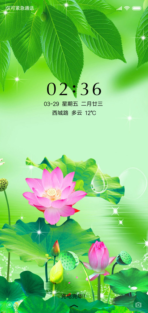 护眼荷花 screenshot