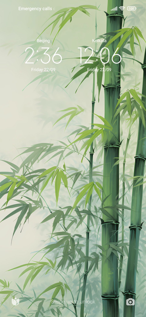 bamboo screenshot