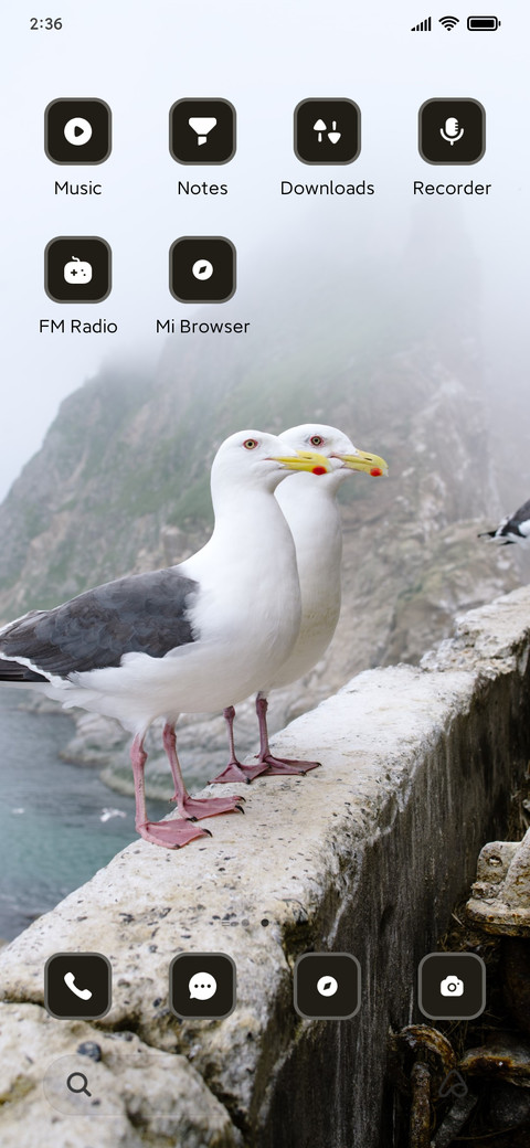 seagull screenshot