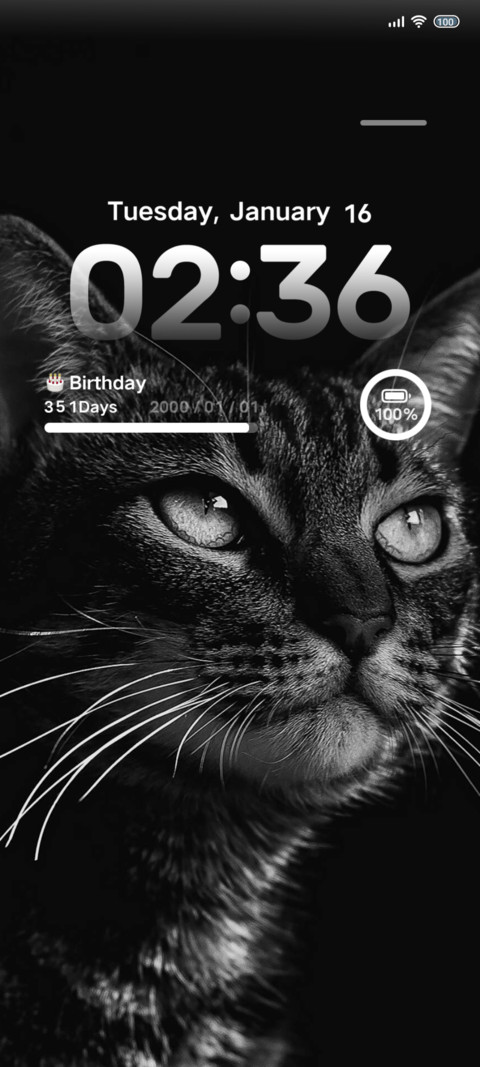 Black Cat screenshot