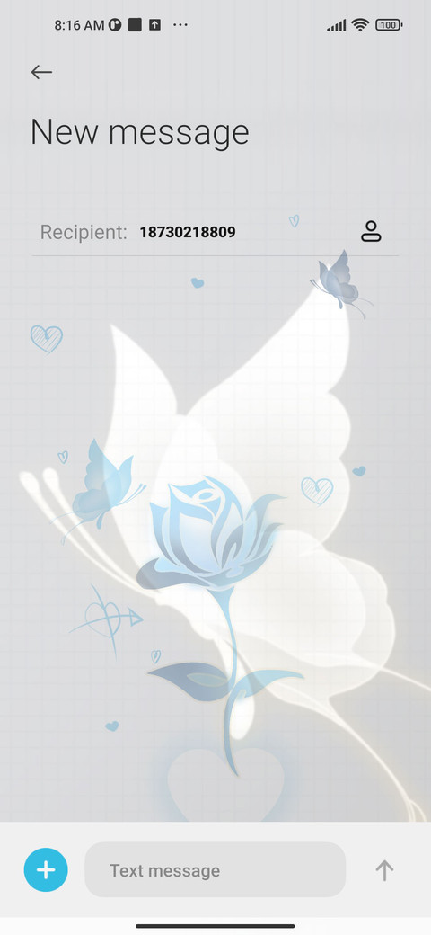 Shadow Butterfly screenshot