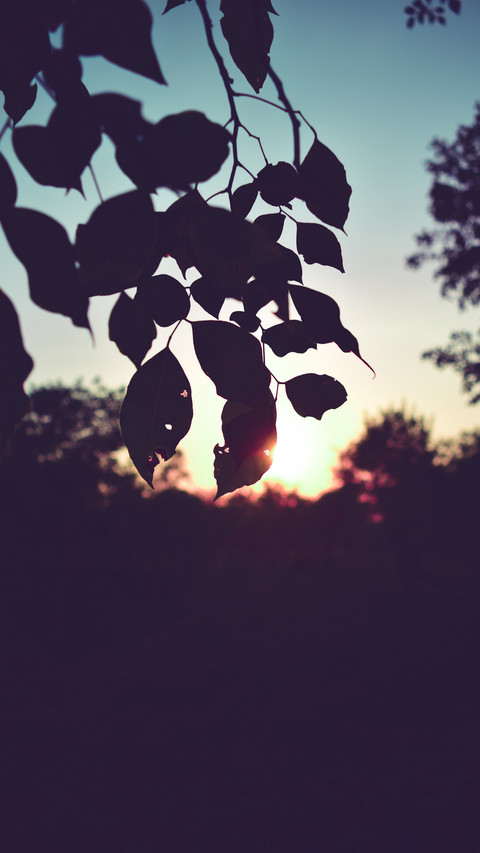 133952_1440x2560.jpg screenshot