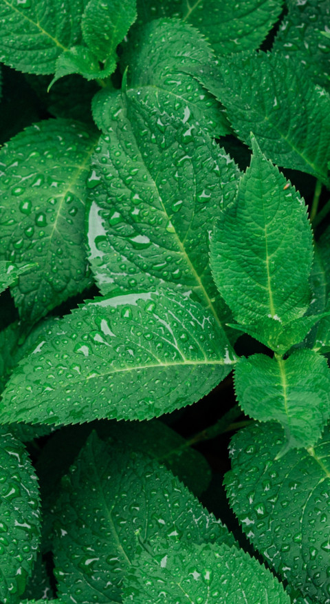 Droplets (22) screenshot
