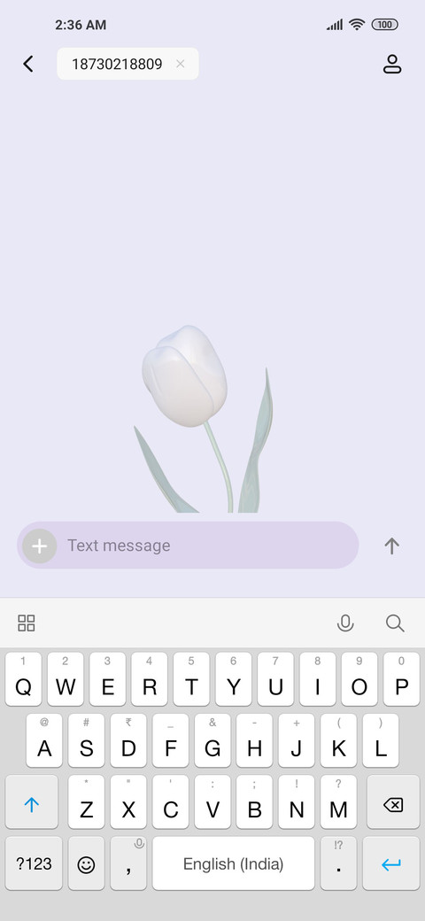 simple bow tulip screenshot