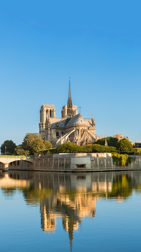 Hidden details of notre dame cathedral in paris screenshot
