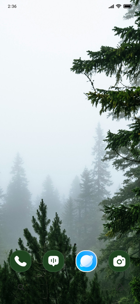 Veiled Forests screenshot