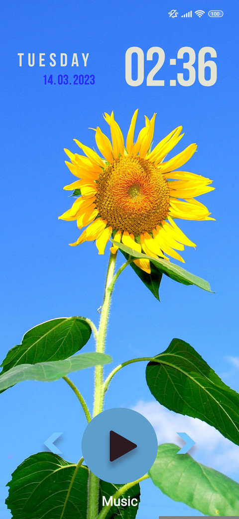 sunflower cloud screenshot
