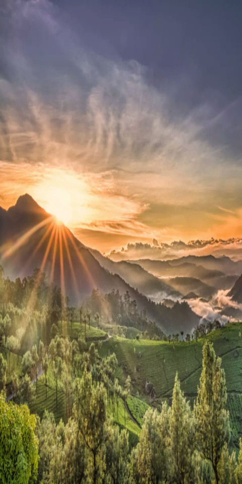 SunLight screenshot