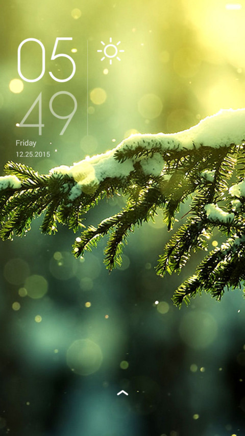 Winter Green screenshot