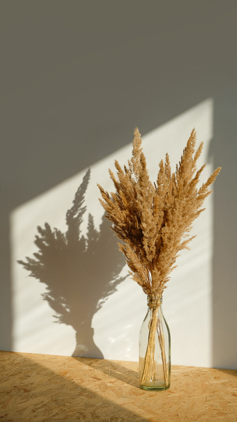 Still life of a bouquet of dried flowers in a glass bottle screenshot