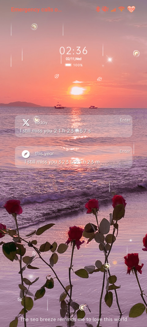Rose Coast screenshot