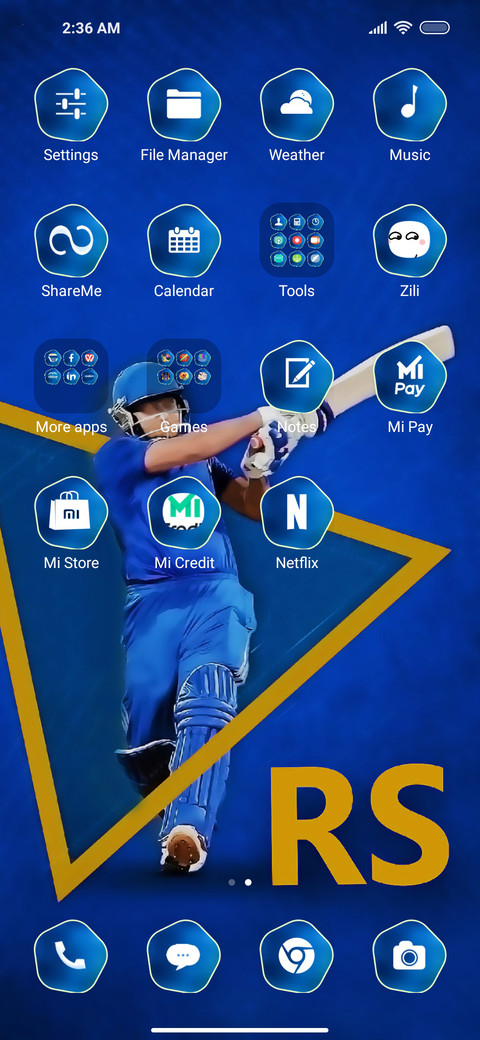 Cricket Ones screenshot