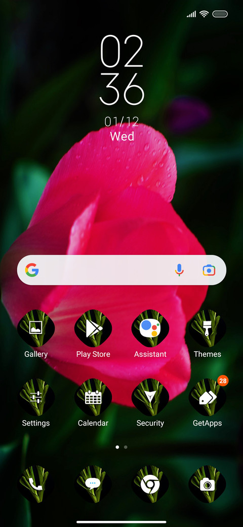 Tulips fi screenshot
