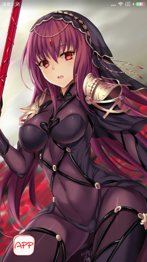 Fate斯卡哈 screenshot
