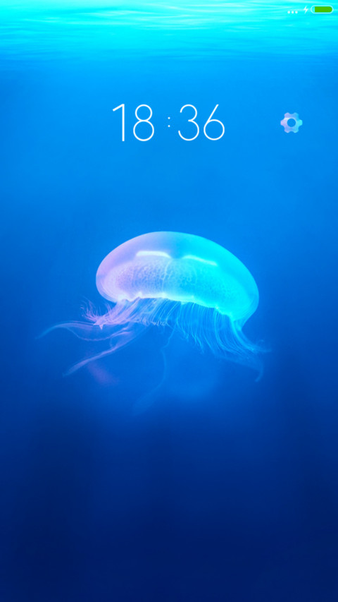 爱情海洋 screenshot