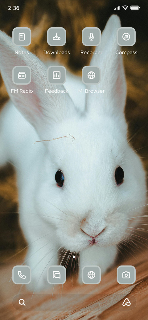 Rabbit screenshot