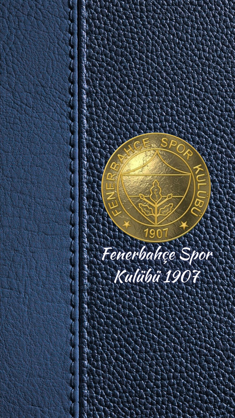 FB FENERBAHCE SPOR 1907 screenshot