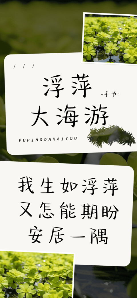浮萍大海游 screenshot