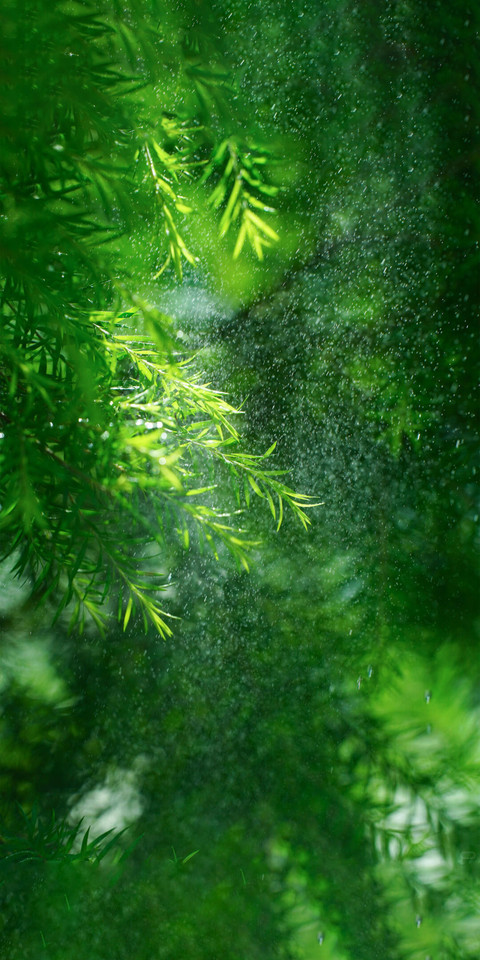 The Shape of Light (10).jpg screenshot