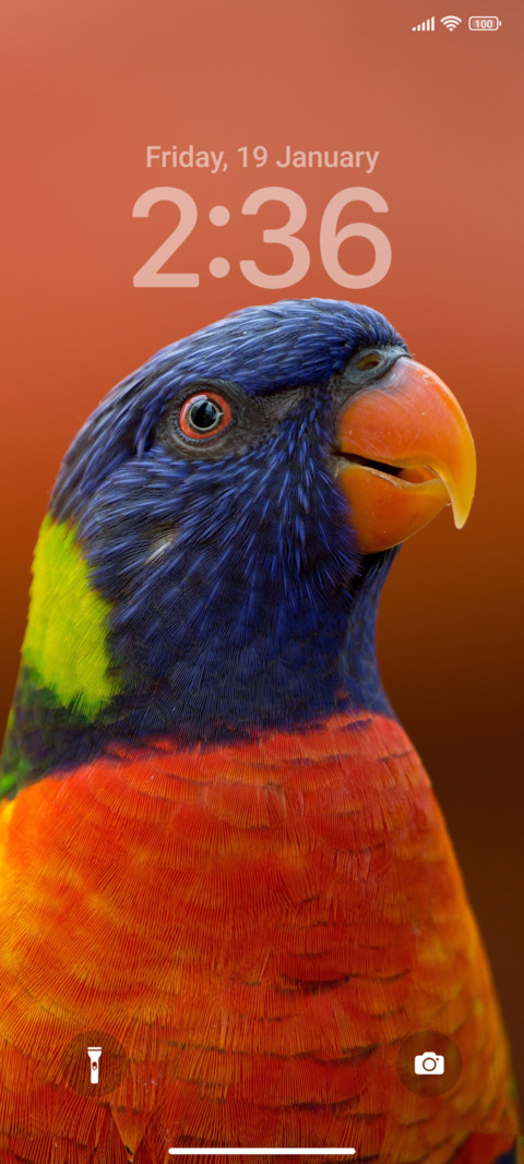 Close UP screenshot