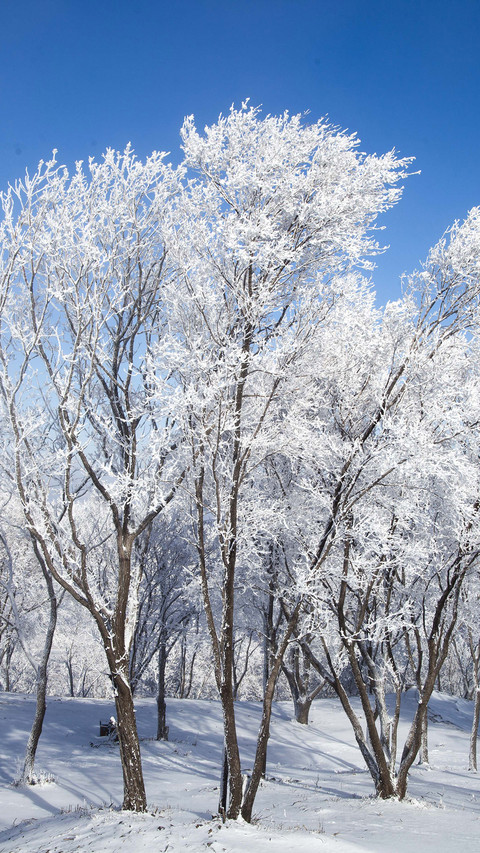 小雪 screenshot