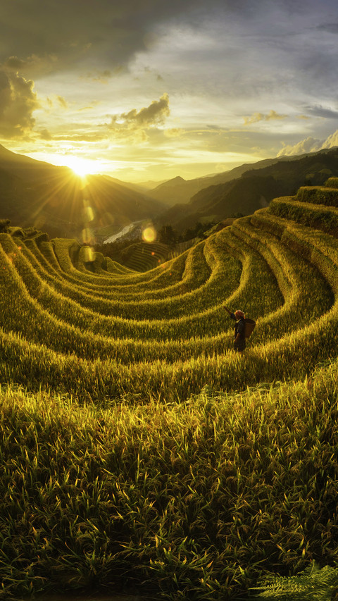 Photographer taking photos of terraced fields in vietnam screenshot